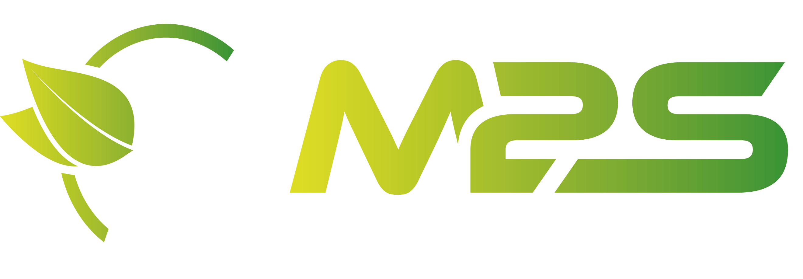 M2S Africa | De l'efficacité énergétique avec Magnetizer.